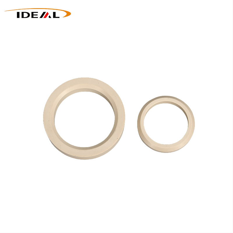PEEK Gasket